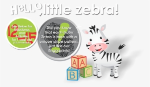 Zebra - Cartoon #3181139