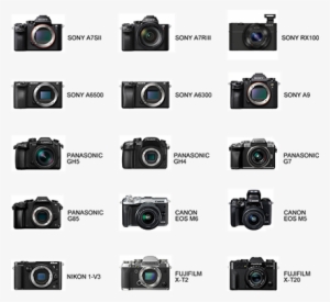 Supports All Mirrorless Cameras With A Max Payload - Megagear Ever Ready Leather Camera Case For Select #3181871