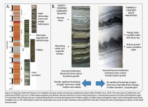 Since The Beginning Of The 20th Century The Water Budget - Water #3182646