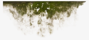 Water Damage - Tree #3182755