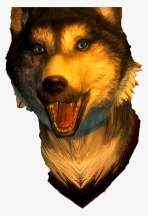 Straight Donations Accepted - Mackenzie River Husky #3182967