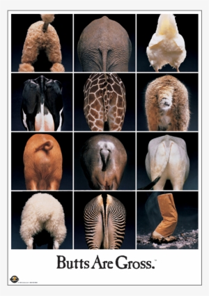 "butts Are Gross" Classic - Butts Are Gross Poster #3182986