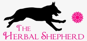 The Herbal Shepherd- #3183036