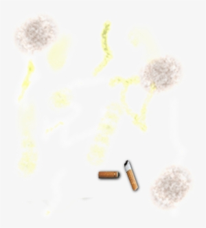 Pee And Cigarette Butts - Dandelion #3183061