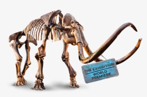 The Entire Exhibit Is “interactive” Learn How The Ice - Moral Character #3183325