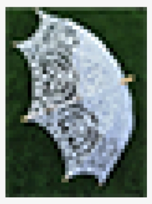 Please Select - Animated Dolphin #3183373