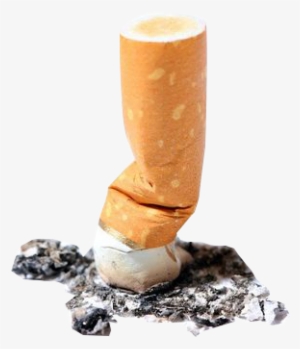 Into The Environment If It Comes In Contact With Water #3183464