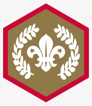 Chief Scout Gold Award - Chief Scout Bronze Award #3184855