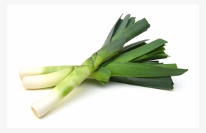 Poro - Poro - Poro - Onion Leek #3185067