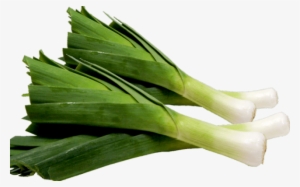 Alho-poro - Alho Poró #3185071