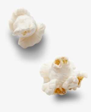 Popcorn Kernel Png Download - Single Popcorn Kernel Png #3186421
