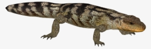 Blotched Blue-tongued Lizard - Gila Monster Transparent #3188139