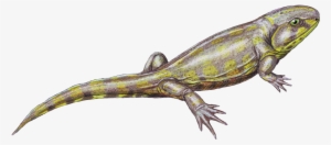 1) Save As Png Otherwise It Won't Be As You Want - Jpeg Images White Background #3188270