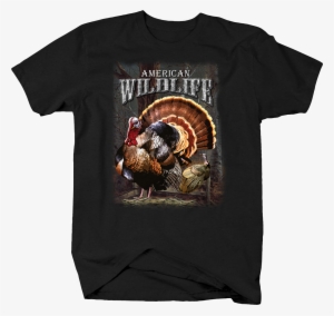 American Wildlife Large Wild Turkey Hunting Nature #3188538