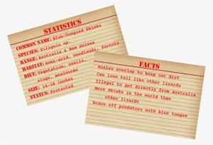 Blue-tongued Skink Stats And Facts - Facts About Burmese Pythons #3188559