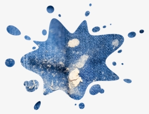 Cochituate State Park - Manta Ray #3188683