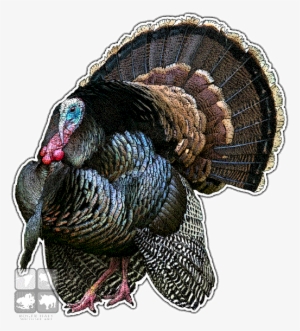 Wild Turkey Decal - Art #3188738