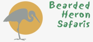 Bearded Heron Safaris #3188795