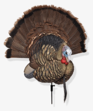 Turkey Decoys - Avian X Trophy Tom #3189088