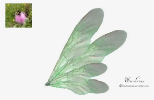 Green Wings By Tinalouiseuk Green Wing, Wings Png, - .net #3189483