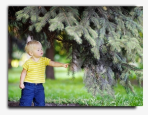 Placeholder Image - Green Tree Nursery & Storage #3190494