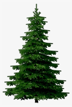 Crop Tree Png - Merry Christmas Christmas Festival #3190586