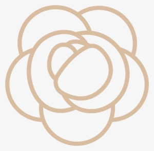 Prim & Proper Decorations - Peace Sign #3192147