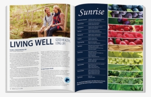 I Was Lead Designer And Project Manager For The Most - Brochure #3193925