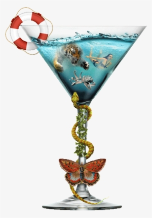 View Our Youtube Channel - Vintage Butterfly Postcards (package Of 8) #3194661