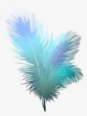 Feather Png - Transparent Peacock Feather Png #3195276