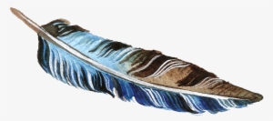 Brown And Blue Feather Transparent Decorative - Trampoline #3195383