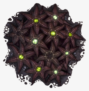 Starfish Cluster - Wiki #3195624