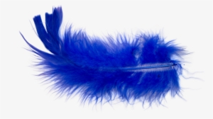 I Did A Little Research On How To Photoshop Out A Color - Feather #3195873
