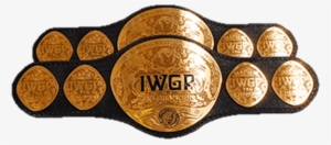 Iwgp Tag Team Championship #3196065
