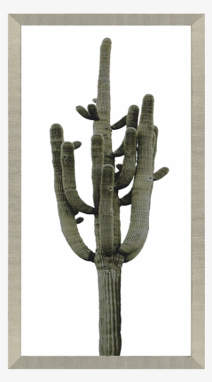 Saguaro Ii - Bungalow Rose 'saguaro Ii' Framed Graphic Art Print #3196828