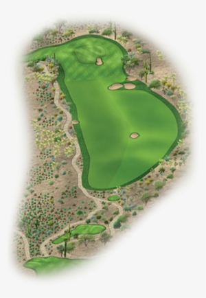 Saguaro 13 Edit - Saguaro #3197129