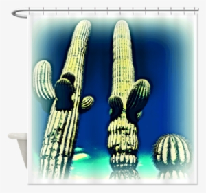 Saguaro Cactus Southwestern Scenery Deep Blue Shower - Saguaro-kaktus-trockene Hitze Postkarte #3197135