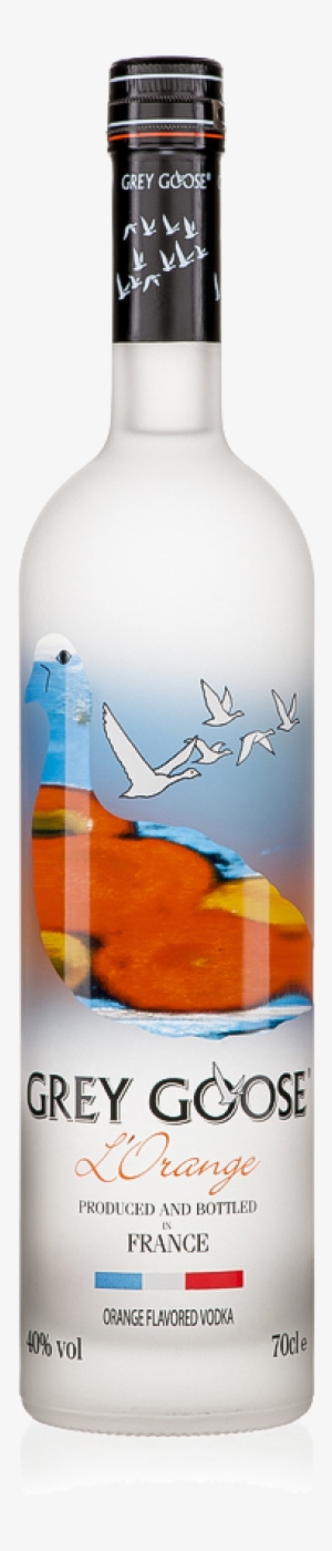 Grey Goose L'orange 750ml #3197591