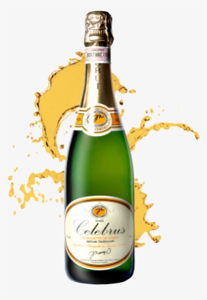 Celebrus - Best Red Wine In The Philippines #3198366