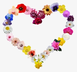 Heartshapes Heart Flowers Shape - Flower #3198549