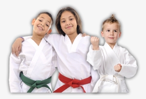 Learn Karate With Chris Benoit's Martial Arts Institute - Karate #3198920