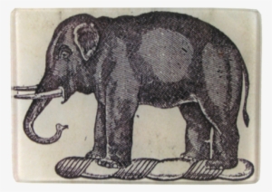 Black & White Elephant - Elephant #3199716