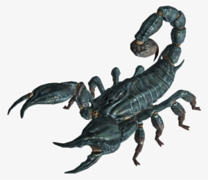 Fallout 4 Radscorpion Png #320121