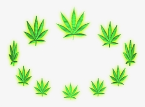 #weed - Cannabis #320732