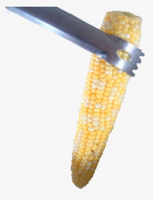 Corn - Corn Kernels #321709