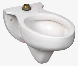 Rapidway Elongated Toilet - Wall Hung Blow Out Toilet #322372