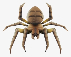 Wolf Spider Png - Spider #322567