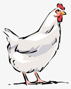 Dominique Broiler Bird Rooster Clip Art Transprent - Chicken Png Clipart #322704