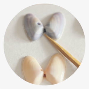 While Glue Is Still Hot Use A Toothpick To Lift Out - Wood #323012