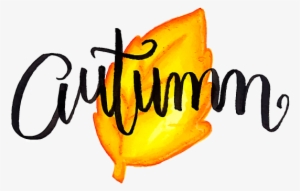 Prints Available On My Curioos Online Shop - Graphic Design #323013